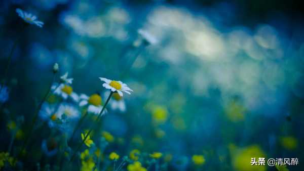 可爱低调帅哥文案吸引人句子（夸一个人很帅的文采句子）