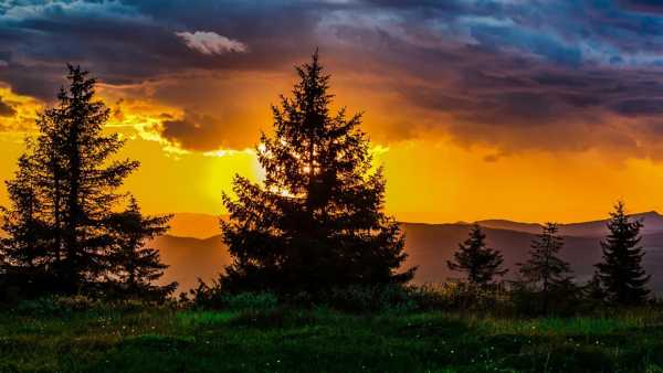 搞笑文案沙雕笑喷短句(朋友圈沙雕搞笑文案)