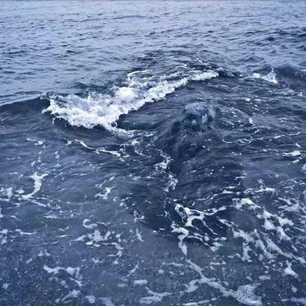 去海边玩的朋友圈文案搞笑（带娃海边的文案简短）