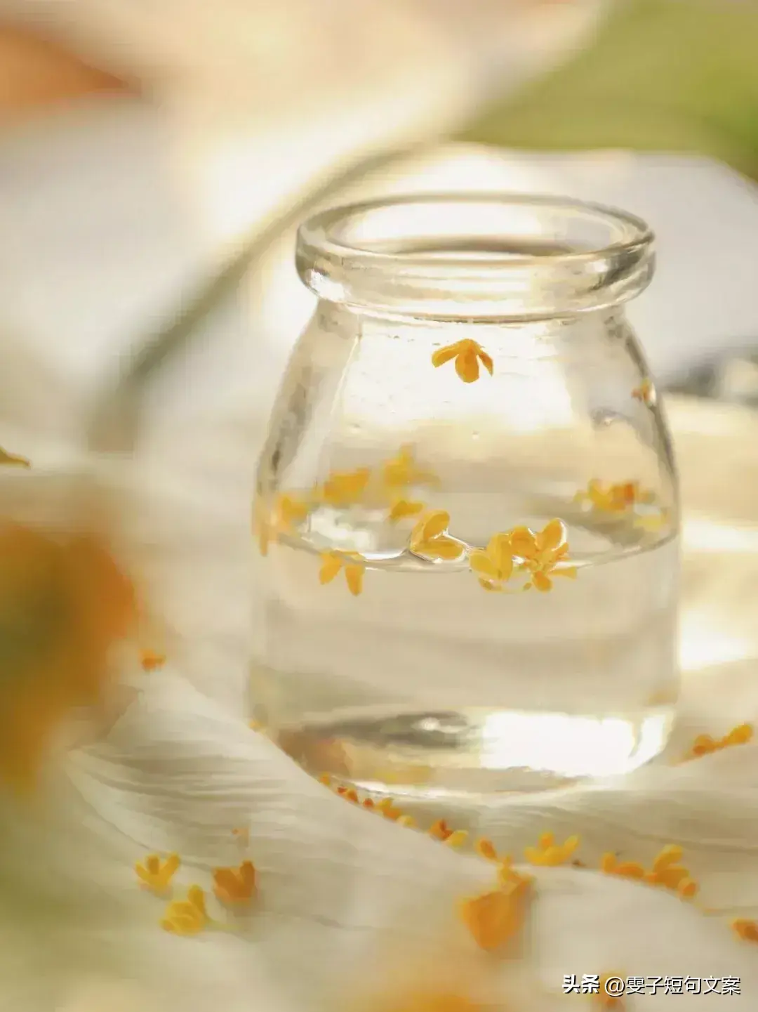 丧偶式婚姻的心酸文案发圈(婚姻失望的说说心情短语)