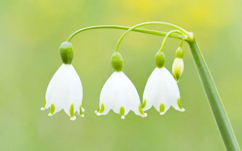 吸引人的烧烤宣传文案（享受美味烤肉美食文案）