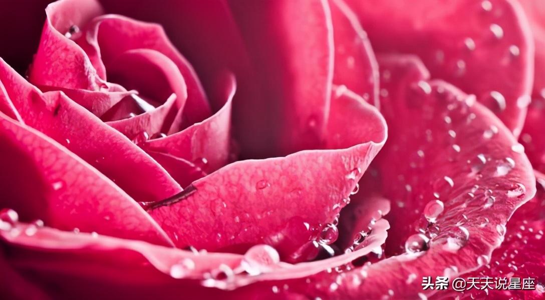 白羊男对爱人很极端表现（感情中最极端的星座男）