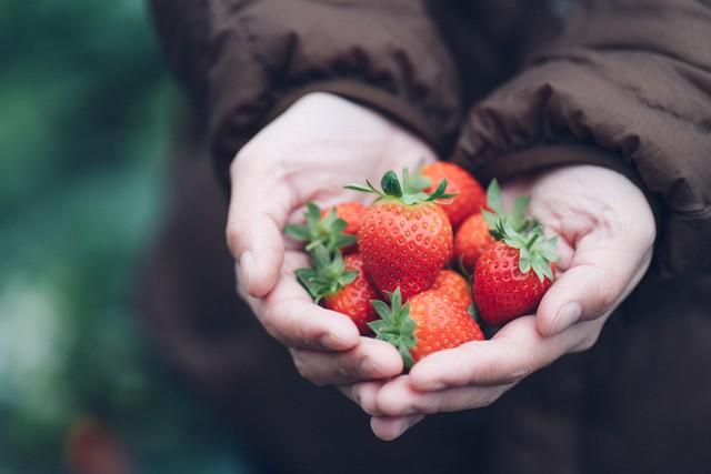 自种的草莓发朋友圈配文（抖音上很火的草莓文案）
