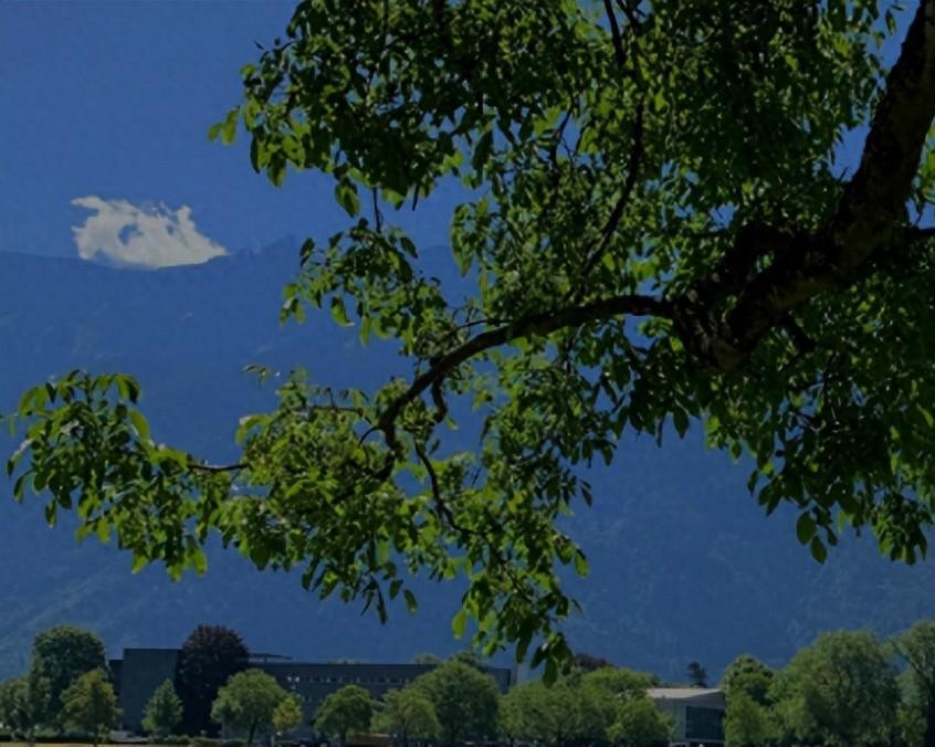 励志的文案短句干净治愈(充满希望和励志的文案)