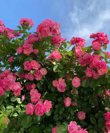 朋友圈发女朋友照片的文案（秀对象照片的文案简短）