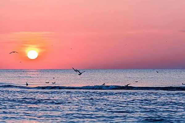 海边日出的文案朋友圈（关于日出说说心情短语）