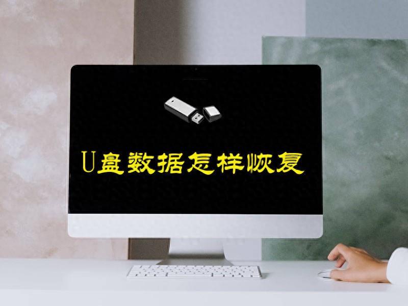 u盘文件被隐藏怎么恢复（u盘数据恢复操作方法）