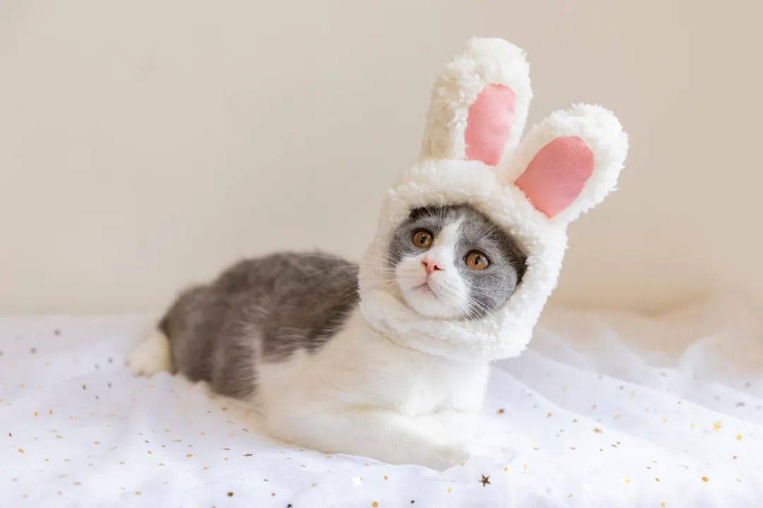 每日一笑幽默小段子合（高质量反转的幽默段子）