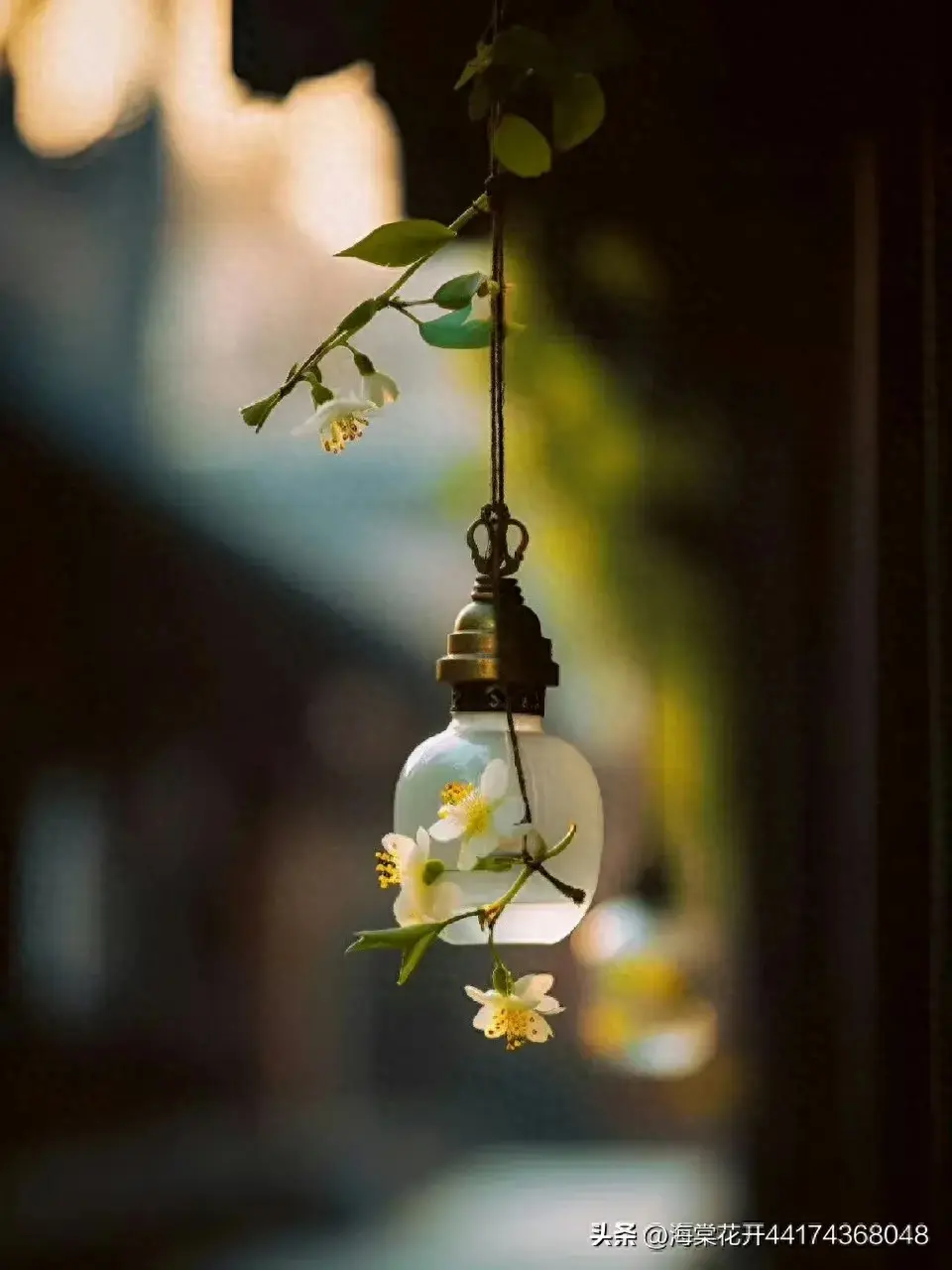 最火的幽默文案搞笑朋友圈(搞笑文案短句沙雕文案)